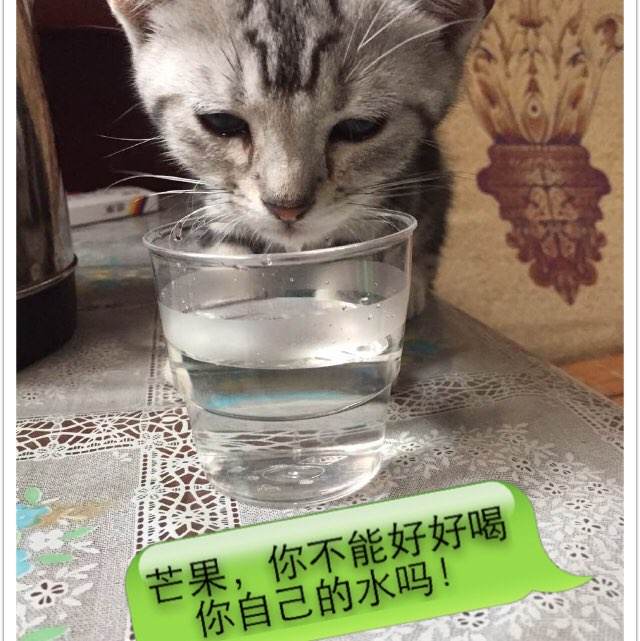 办假的墨西哥身份证阿联酋护照扫描件哪里可以做假的